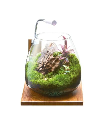 ジェックス GEX AQUARIUM グラスアクア ティアー-N アクアリウム 小型水槽 の商品画像 2