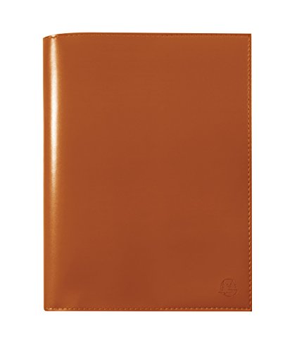 Télécharger Exacompta Vérone SAD 20S Agenda Scolaire Semainier de Bureau Septembre 2017 à Août 2018 21 x 15 c Gratuit