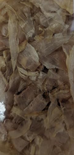 Y Ԃ  500 Ɩp yayoiGoodfoodIWii