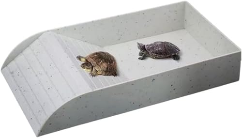 NETWOW ঒  NK Zbg T P[X NKZbg vr  傫 y {E aH ybgpi (zCgXg[ij)