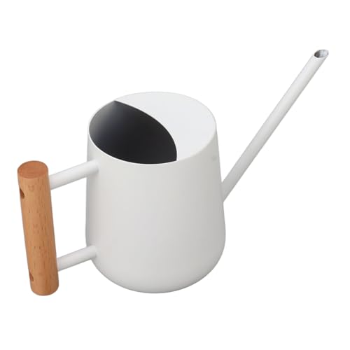 Regadera para plantas, 900 ml, acero inoxidable, mango de madera, elegante maceta de riego para jardín, familia y exteriores (blanco)