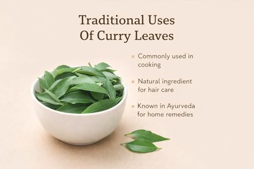 KANGRA VALLEY NURSERY Dry Curry Leaves (100 Gram) Karuveppillai Dried Leaves,Dry Karuveppillai Leaves,Dry Kadi Patta,Murrya Koenigii,Curry Leaf For Eating, Cooking, 100G (Pack Of 1 X 100G)