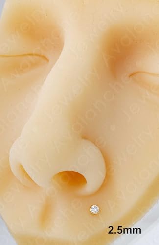 14K Gold Bezel Set 2.5mm (0.08ct) Diamond Labret Monroe Stud 16G 6mm-8mm-10mm Post Flat Disk Bottom Round Brilliant Cut Diamond Lip Ring Tragus Stud2