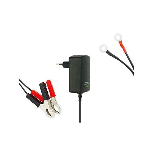 Chargeur batterie moto résout décharge batterie acide scooter hiver