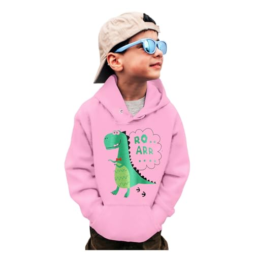 Boys' Long Sleeve Hooded Sweatshirt Boys Sweatshirts Crewneck