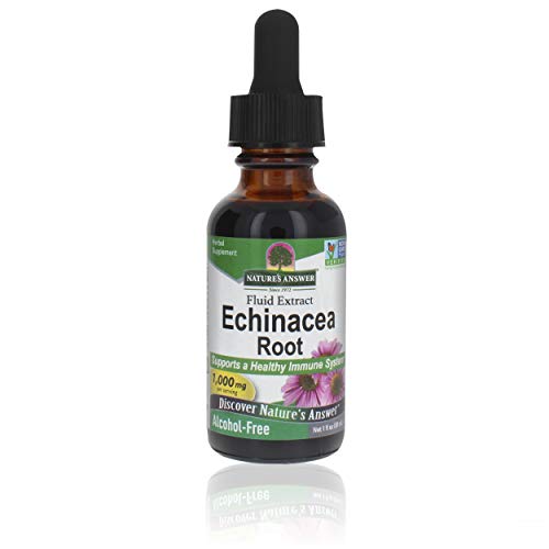 Nature's Answer Echinacea Alcohol Free Extract 1 Fluid Ounce | Promotes Overall Wellness | Natural Immune Booster | Inflammatory Reducer