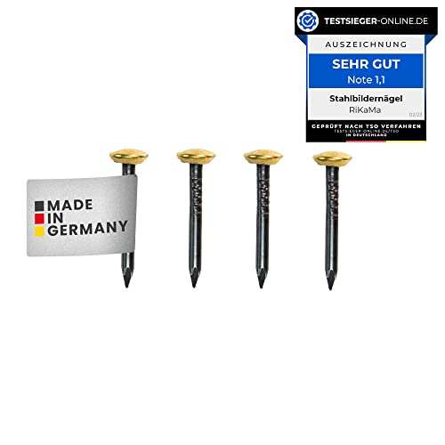 RIKAMA - 30 clous de 30 mm de longueur - Clous en acier avec tête en laiton de 6 mm pour utilisation sur béton, brique, plâtre et bois - Clous en acier trempé comme suspension - Fabriqué en Allemagne
