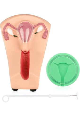 Image of IUD Training Model Kit | Female Uterus Model for Intrauterine Device Insertion & Removal | Gynecology Teaching Model for MBBS, Nursing, Medical Students & Family Planning Education