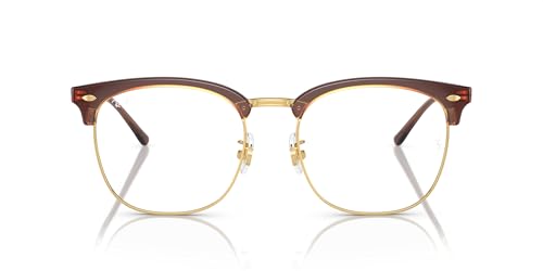 [Co] xKl RX7318D Asian Design TRANSPARENT DARK BROWN ON GOLD 54