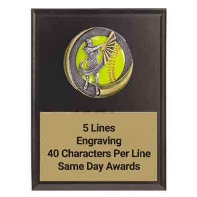 Motion Softball Plaque 6