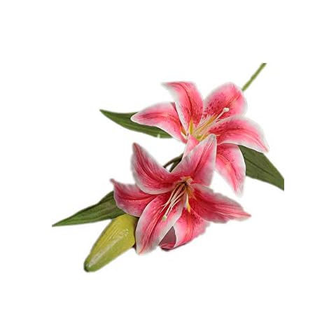 Pandecor Artificial Lily or Lily Branch with 2 Pink Flowers h. 77 cm Cover