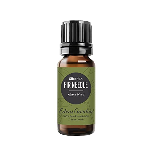 Edens Garden Fir Needle- Siberian Essential Oil- 100% Pure Premium Grade Undiluted Natural Therapeutic Aromatherapy The Best for Diffuser Candle Laundry Humidifiers 10 ml (.33 fl oz)