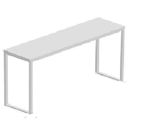 DG DEXAGLOBAL CEO Desk/Table WFH (Suitable for Work from Home) Stainless Steel + Gloss White Finish (White Top +White Legs, 5 x 1 Foot Top)