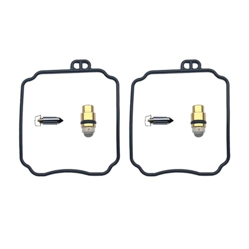 Kit de réparation de carburateur pour Hyosung GT250R GV250 de haute précision