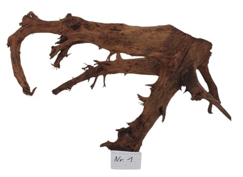 Mangrovenwurzel Traumwurzel Treibholz Aquarium oder Deko wählen Sie Ihr Einzelstück selbst (Nr.1 60x45x40cm)