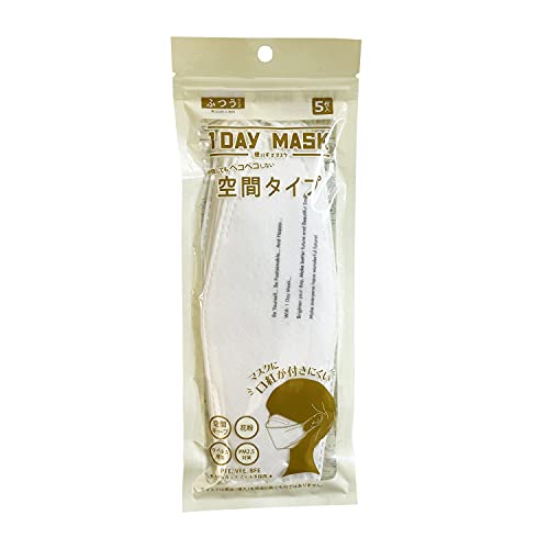 1DAY MASK 空間タイプ KF-WHT-SE 1袋5枚入×2袋セット 立体マスク メガネが曇りにくい 口紅がつきにくい 息がしやすい 不織布マスク