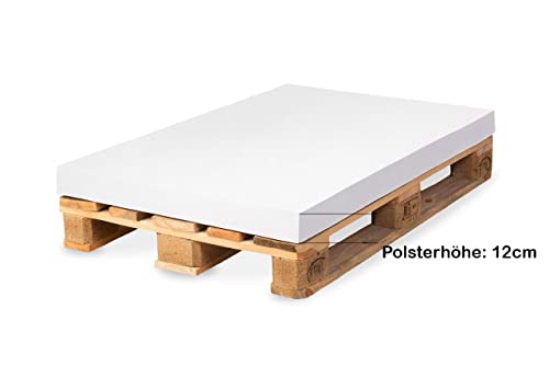 TexDeko® Palettenkissen 120 x 80 x 12cm Wasser-& schmutzabweisend Abnehmbarer Bezug mit Reißverschluss waschbar gepolstertes Sitzkissen für Europalette Palettenpolster (Grau)
