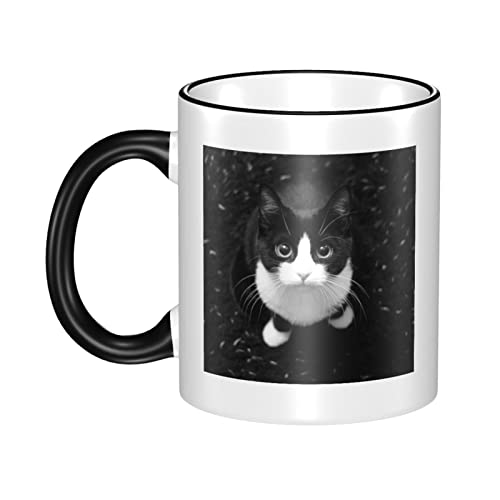 킢L Aj }OJbv ϔM ϗ dqWΉ e R[q[Jbv  y a lC v[g