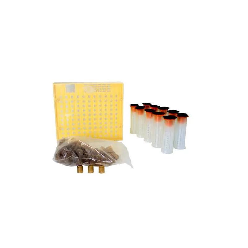 Traitement des Abeilles Reine Avalon KTA-01 : Kit de démarrage complet pour votre ruche