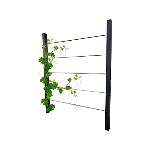 RANKMANUFAKTUR Design Rankhilfe Metall - 160x195cm Cover