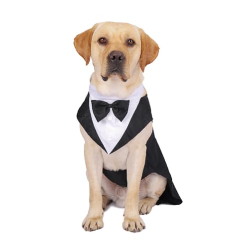 Traje formal con moño para perros talla L miniatura 4