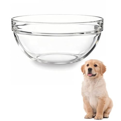 Replacement Glass Bowl for Feoyoho 5.5in Feeder Stand – 34 oz / 4.2 Cups (Replacement Only), Dishwasher & Microwave Safe