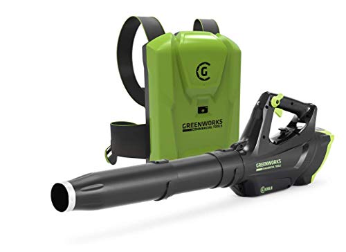 Preisvergleich Produktbild Greenworks Home