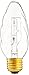 Philips 60-Watt Equivalent F15 Halogen Post Light Bulb, 4-Pack, White
