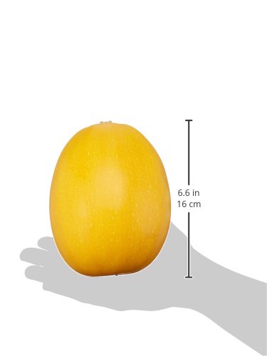 Spaghetti Squash, 1 Each