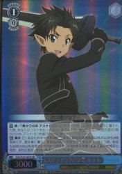 Amazon.co.jp: ヴァイスシュヴァルツ 《スプリガン》の少年 キリト