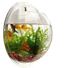 Tah Wall Hanging Acrylic Fish Tank Aquarium – 9 Inch Transparent Tank with Led Light – Modern and Compact Wall-Mounted Fish Tank for Betta or Small Fish, Ideal for Home and Office Decor (B0BYLCLJ5J) Amazon Price History, Amazon Price Tracker