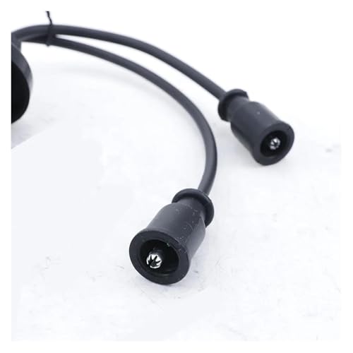 Enchufe de bobina de encendido para solucionar tirones en Dongfeng y BYD 2