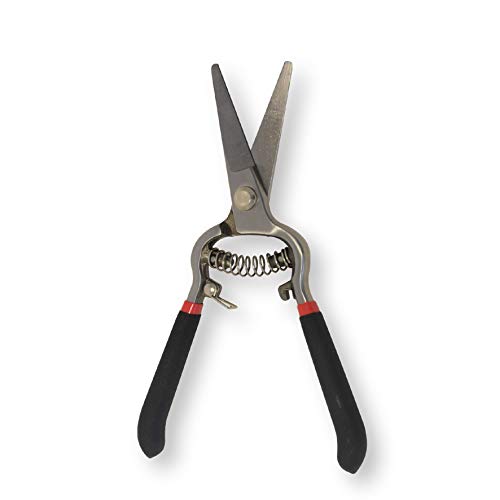 Set Vintage de Podadora y Tijeras Spear & Jackson miniatura 5