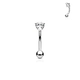 eybrow ring Christina Vertical Hood VCH Jewelry Genital Piercing 7/16