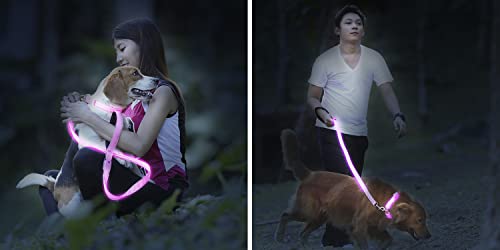 Illumiseen LED Light Up Dog Leash | Ultra High Visibility Up to 350 Yards | 3 Lighting Modes | USB Rechargeable, No Batteries Needed | Padded Handle & Rotating Swivel Clasp to Prevent Leash Tangling