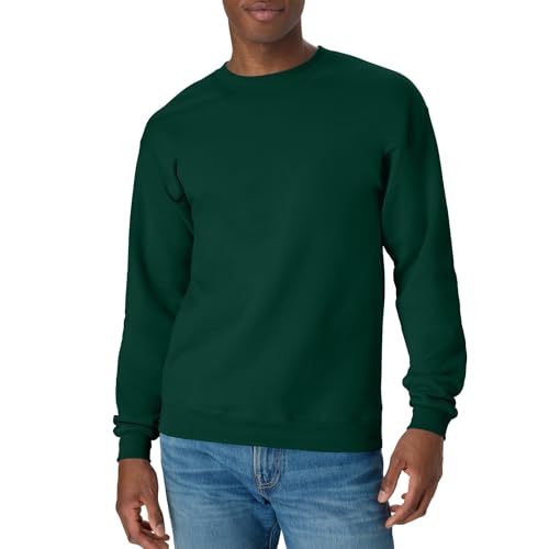 Hanes mens Ecosmart Sweatshirt, Deep Forest - 1 Pack, Large US,