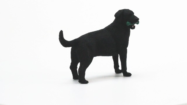 Amazon.com: Safari Ltd. Black Labrador Retriever Figurine - Hand