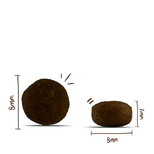 Bosch HPC MENUE Mini Junior mit Tierwohl-Huhn| Hundetrockenfutter zur Aufzucht Kleiner Rassen | 1 x 2,4 kg