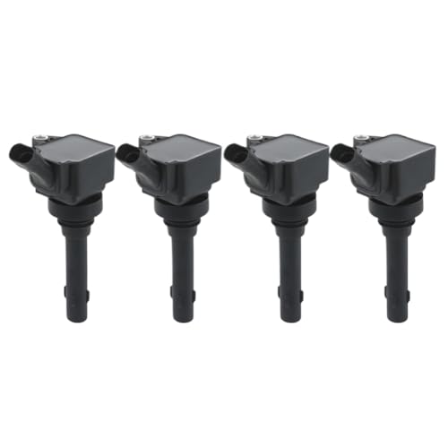 �C�O�j�b�V�����R�C�� Song Qin Surui S6 S7 G5 G6 1.5L �G���W�� F01R00A065 �ƌ݊�������