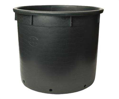 Pasquini & Bini Giant Plant Pot 500lt