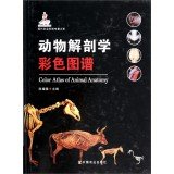 【正版】猪实体解剖学图谱 全彩版 熊本海 精准系统解剖实体猪 猪的解剖构造和生理机能 动物解剖生理特征 动物解剖学彩色图谱 : Amazon ...