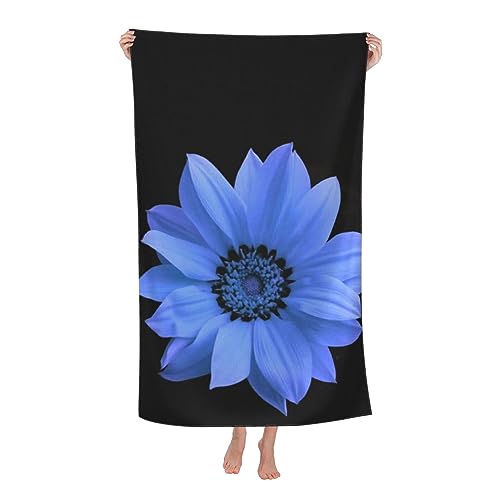 炩oX^I ԕ a ai11j Aj C v[ r[` w RۖhL _炩G蒴ב@ۂ̉ƒpz AEghAׂ͂ēKp܂