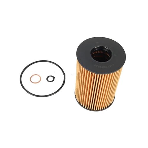 10 filtros de aceite de motor para BMW X5, X6, 550i y 750i (11427848321)