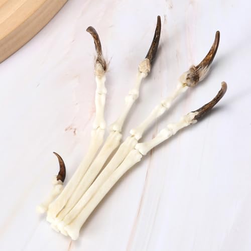 Image of 1PCS Handmade Copper Wire for Making Fox paw specimens, Collecting Gift Bone specimens Ornament