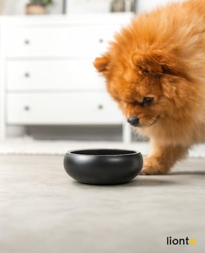 lionto Futternapf aus robustem Edelstahl, 360 ml, lebensmittelechter Hundenapf mit rutschfesten Silikonpads, rostfreier Wassernapf für Hunde & Katzen, gewölbt, schwarz