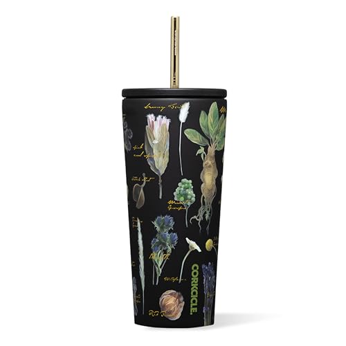 Corkcicle Warner Bros Cold Cup 24 oz