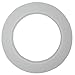 Ring Gasket, 1 In, Expanded PTFE