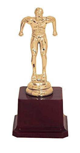 Be Win Swimming Trophy (B085KY1FV1) Amazon Price History, Amazon Price Tracker