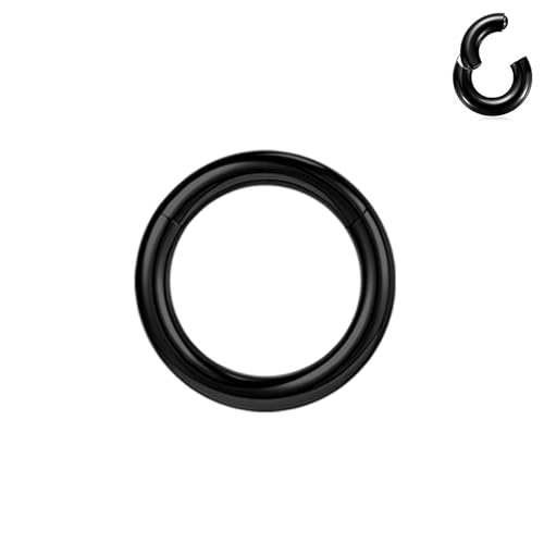 BodyAce Anillos PA de segmento con bisagras negras, 2G, 4G, 6G, 8G, 10G, 12G, anillos grandes BCR de acero quirúrgico, aro para tabique nasal, calibre de oreja, aros negros, Acero inoxidable, otros
