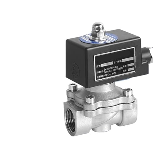 Électrovanne 1 pouce 24V pour automatiser l'arrosage et stopper les fuites d'eau